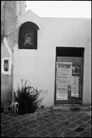 Lipari - reposoir, chien, affiches